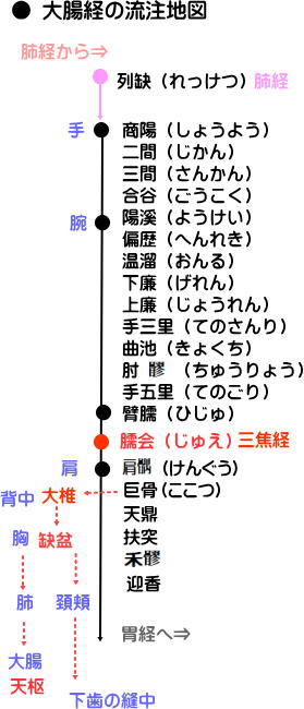 手の陽明大腸経の経絡流注地図