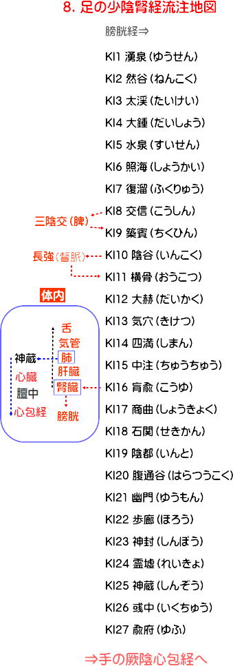 足の少陰腎経の流注地図１