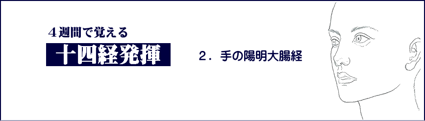 十四経発揮