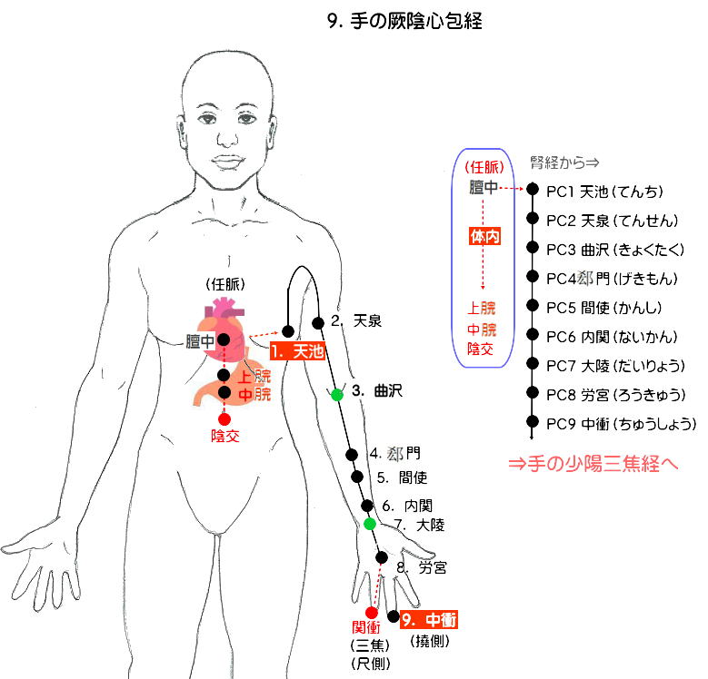 十四経発揮　手の厥陰心包経の流注図