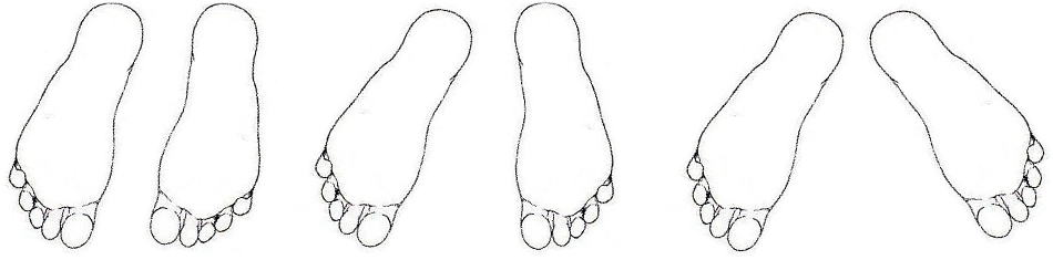 足の形の種類
