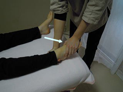 理学療法評価法　検査5