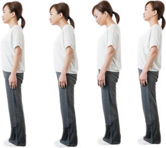 姿勢のいろいろ