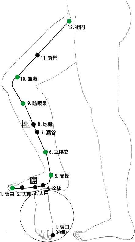 十四経発揮 足の太陰脾経 新潟県加茂市 おやなぎ 整体・マッサージスクール