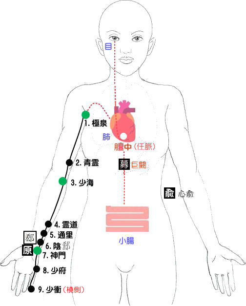 十四経発揮 手の少陰心経 新潟県加茂市 おやなぎ 整体・マッサージスクール