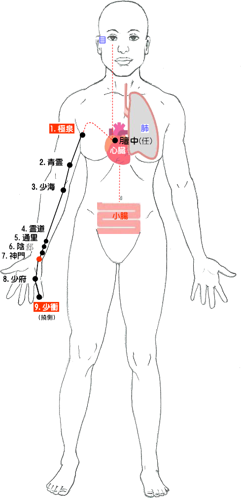 十四経発揮　手の少陰心経の流注図