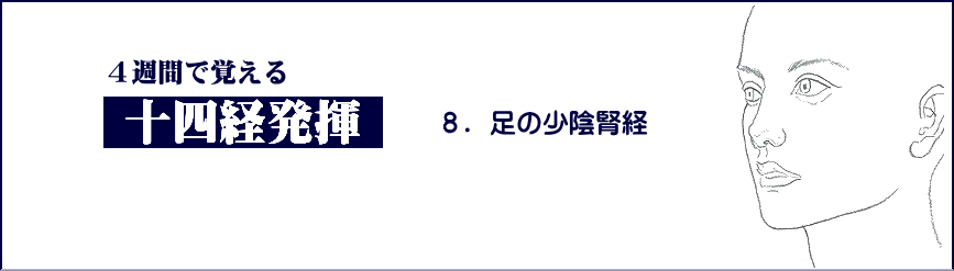 小柳手技療法の学習　十四経発揮　足の少陰腎経