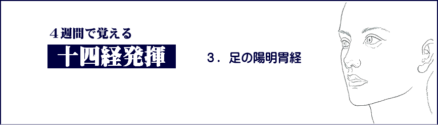 小柳手技療法の学習　　足の陽明胃経
