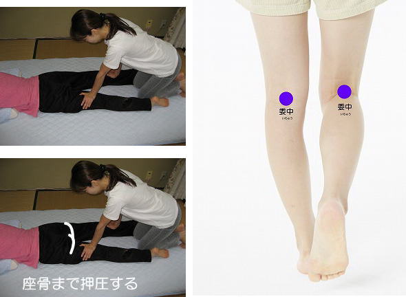 理学療法評価法　検査１