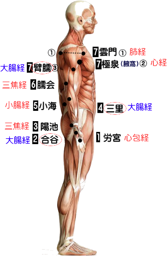 上肢操法と経絡のイラスト