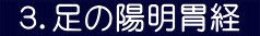  ３．足の陽明胃経 