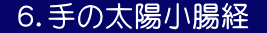  ６．手の太陽小腸経 