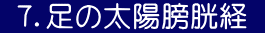  ７．足の太陽膀胱経 