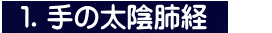 １．手の太陰肺経 