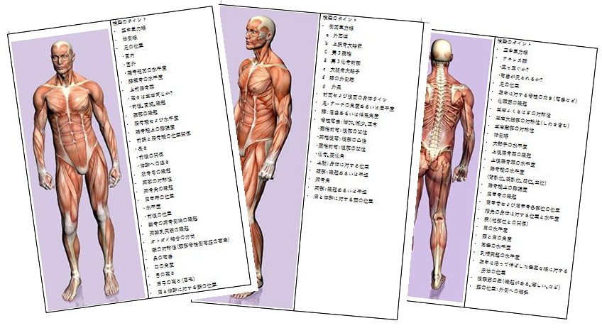 理学療法評価法のトップのイラスト