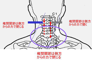評価法　椎間関節のテスト