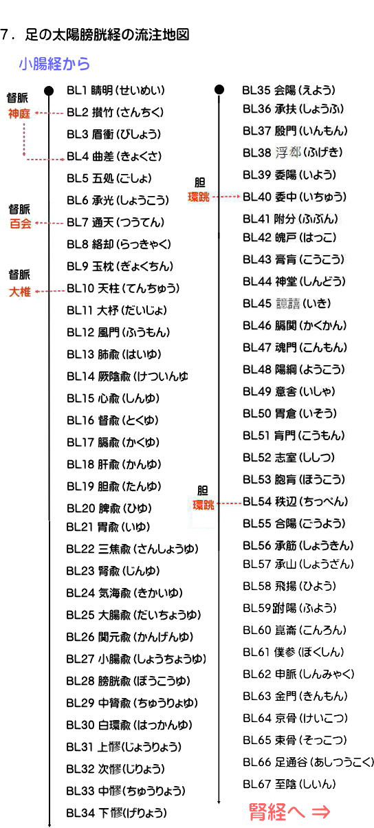 足の太陽膀胱経の経絡流注地図