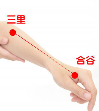 歯の痛みと三里と合谷のツボのイラスト