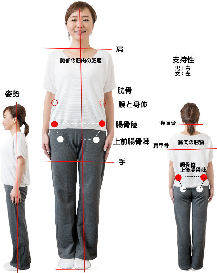 整体　人体の観察ポイント