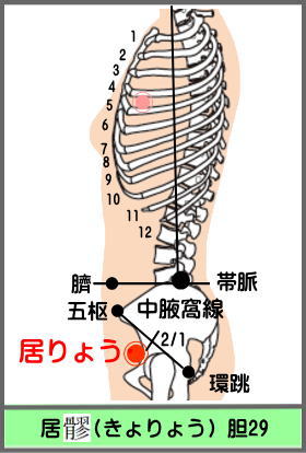 ツボ　　きょりょう