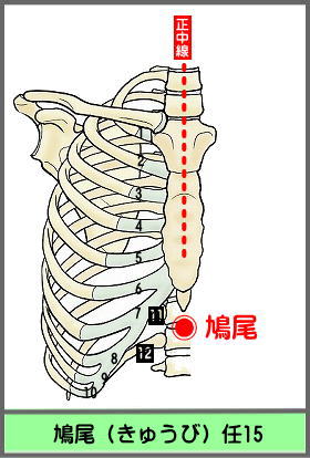 ツボ　きゅうび