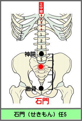 ツボ　せきもん