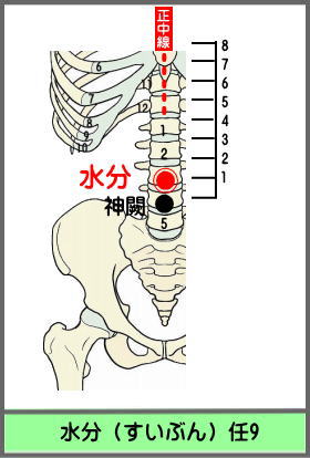 ツボ　すいぶん