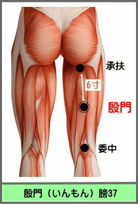 ツボ　いんもん