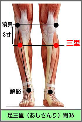 ツボ　あしのさんり