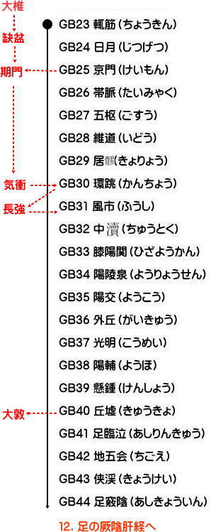 足の少陽胆経の流注地図２