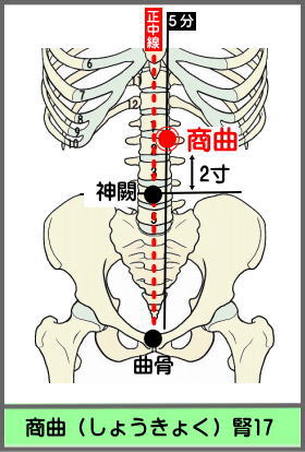 ツボ　しょうきょく