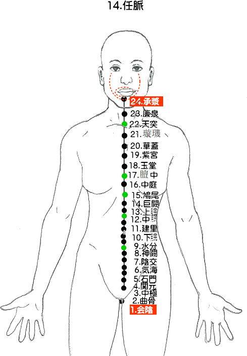 任脈の流注図