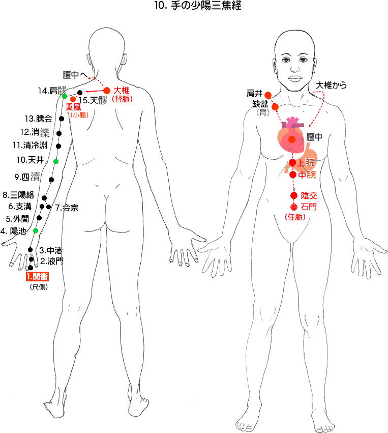 手の少陽三焦経の流注図