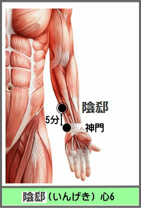 ツボ　いんげき