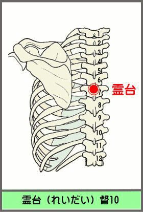 ツボ　れいだい