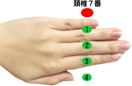 骨の位置の覚え方