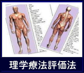 理学療法評価法