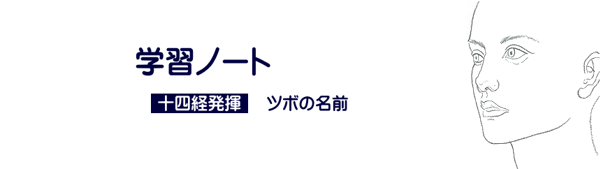 小柳手技療法の学習　十四経発揮 　ツボの名前　