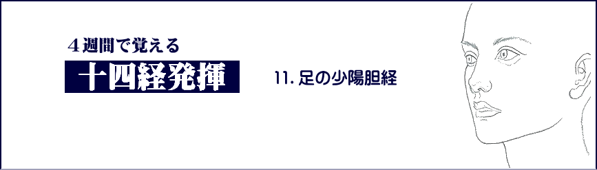 小柳手技療法の学習　整体　十四経発揮　足の少陽胆経
