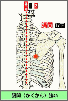 ツボ　かくかん