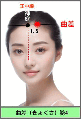 ツボ　きょくさ