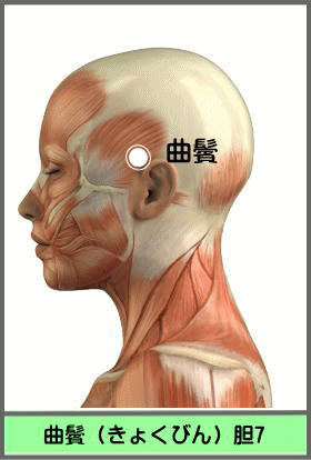 ツボ　きょくびん