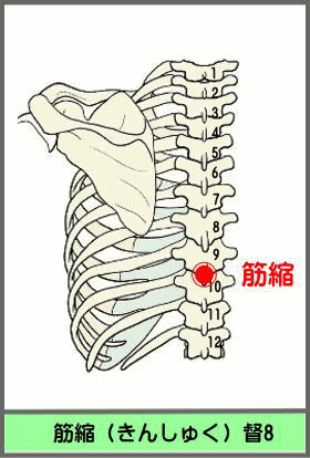 ツボ　きんしゅく