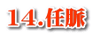14.任脈