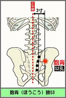 ツボ　ほうこう