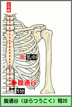 ツボ　はらつうこく