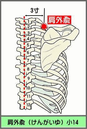 ツボ　けんがいゆ