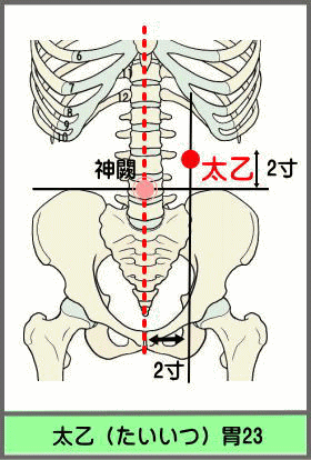 ツボ　たいいつ