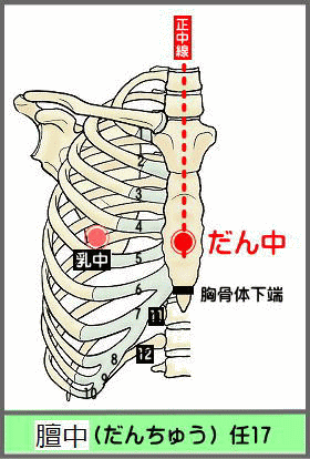 ツボ　だんちゅう