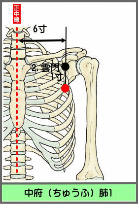 ツボ　ちゅうふ